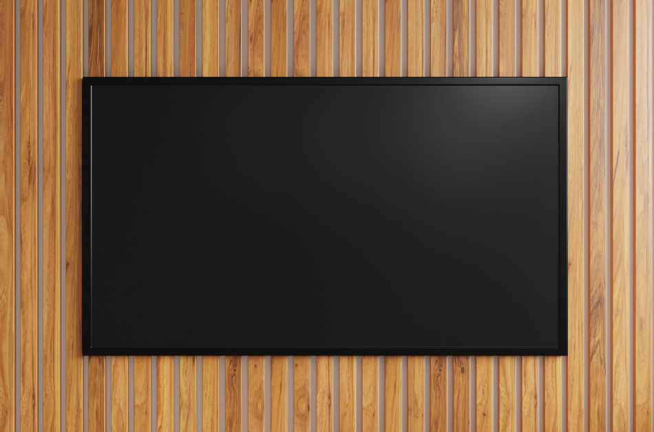 Esenler Televizyon Servisi